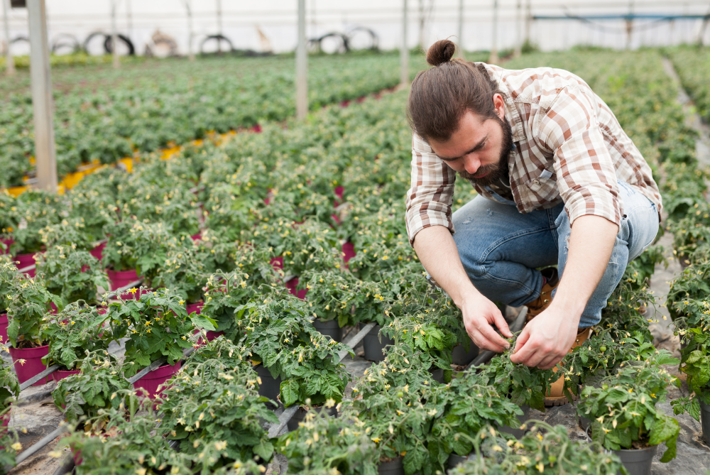 Modern Plant Sap Analysis Is Like A Blood Test For Plants